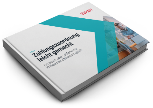3Dcover-Ebook-Zahlungszuordnung-DE.png