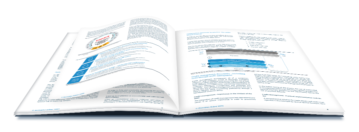 Horvath Esker Working Capital Whitepaper Cover Image